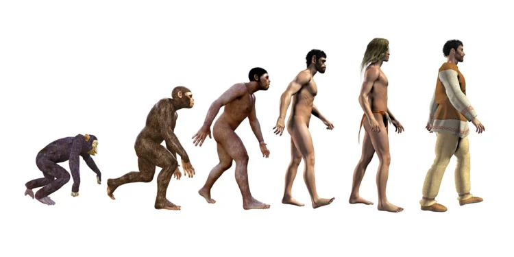 Uma revelação: até andarmos sobre duas pernas, a estrada foi sinuosa e não linear