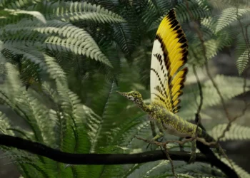 O réptil de quase 300 milhões de anos com crista que não era pele, nem pena