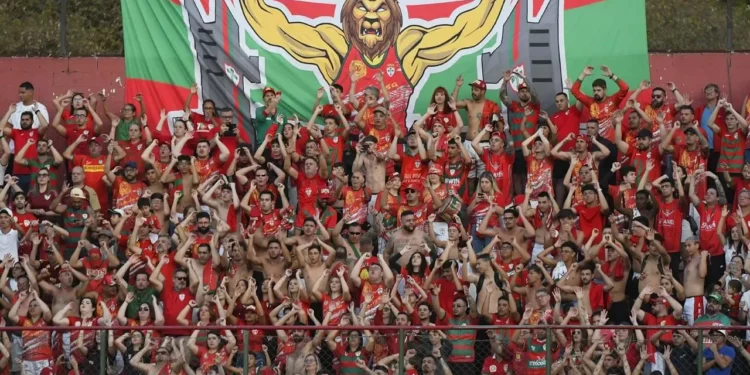 Impulsionado por ingressos grátis, plano de sócio-torcedor da Lusa alcança 8 mil membros