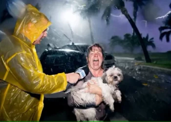 É real ou IA? Plataformas estão “confundindo” vídeos