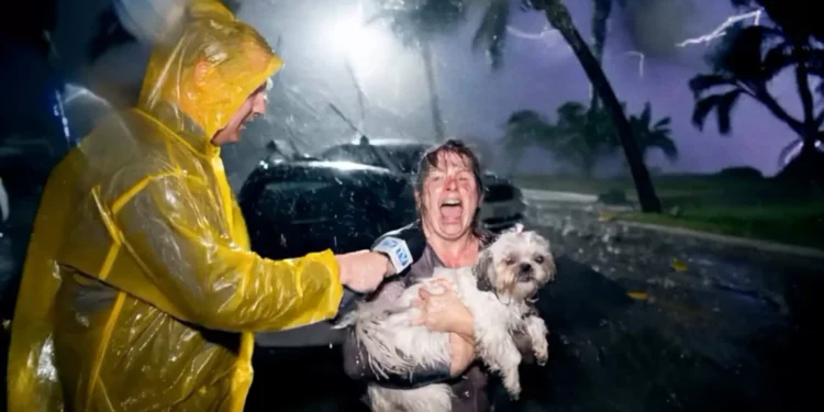 É real ou IA? Plataformas estão “confundindo” vídeos