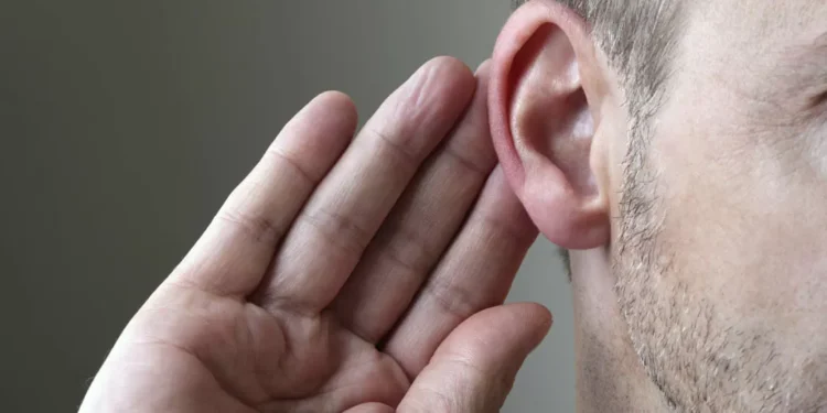 Novo estudo revela que o cérebro se desenvolve de forma desigual para entender sons