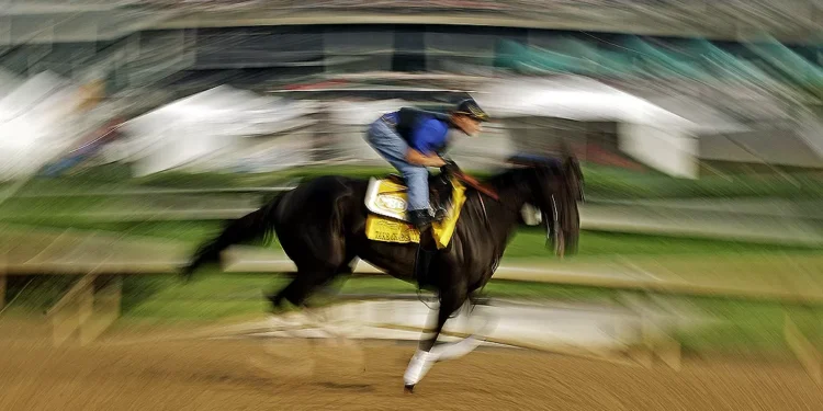 O que os cavalos de corrida podem ensinar sobre prevenir mortes súbitas em humanos