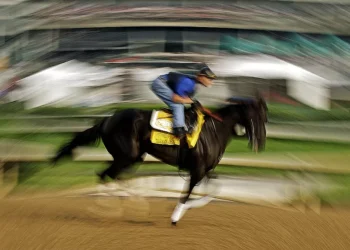 O que os cavalos de corrida podem ensinar sobre prevenir mortes súbitas em humanos