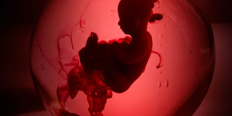 Entrevista: o bebê mais velho do mundo