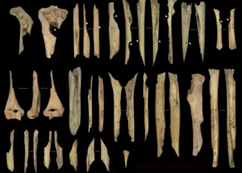 Evidências de canibalismo pré-histórico são encontradas em caverna na Espanha