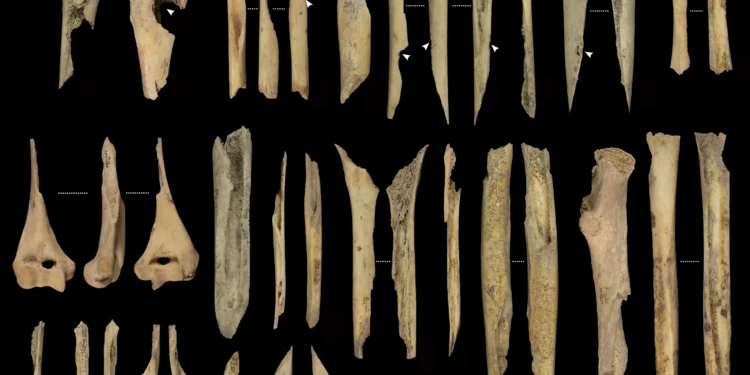 Evidências de canibalismo pré-histórico são encontradas em caverna na Espanha