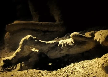 Pessoas voltaram a viver em Pompeia depois de erupção, dizem arqueólogos