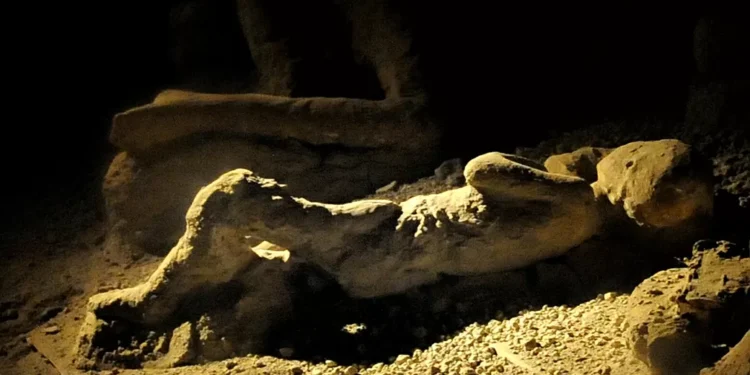 Pessoas voltaram a viver em Pompeia depois de erupção, dizem arqueólogos