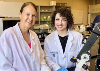 Robôs dissolvem cálculos renais em novo modelo 3D