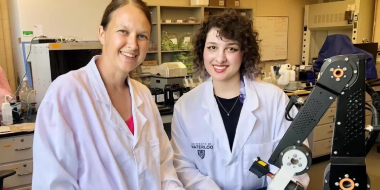 Robôs dissolvem cálculos renais em novo modelo 3D