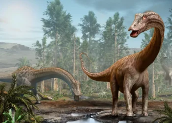 Entrevista: doença dizimou dinossauros em São Paulo há milhões de anos