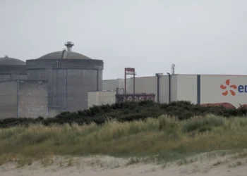 Alforrecas desligam quatro reatores de central nuclear no norte de França