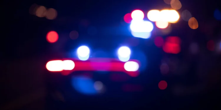 Caminhava com cão e encontrou corpo desmembrado. Novo caso choca França