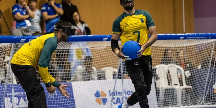 O dia dos brasileiros no esporte: confira a agenda desta terça-feira