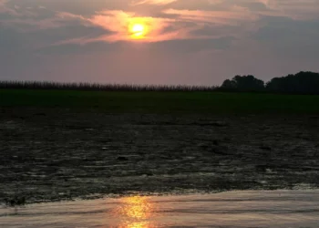 Brasil declara “situação crítica” em dois afluentes do Amazonas