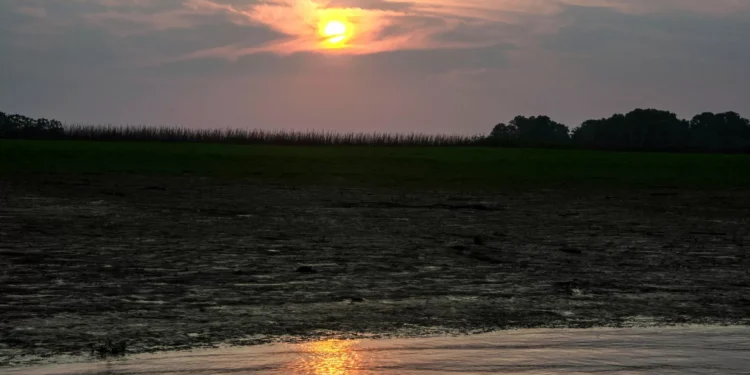 Brasil declara “situação crítica” em dois afluentes do Amazonas