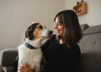 IA já consegue identificar emoções em animais, aponta estudo