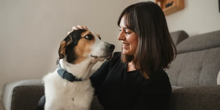 IA já consegue identificar emoções em animais, aponta estudo