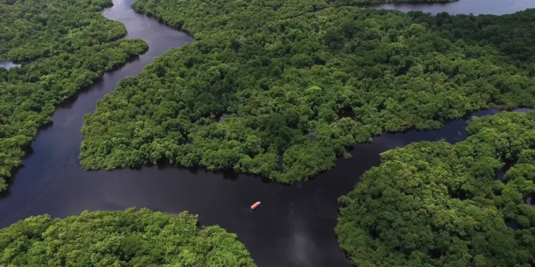 Área desmatada na Amazônia é a menor em 11 anos, diz INPE