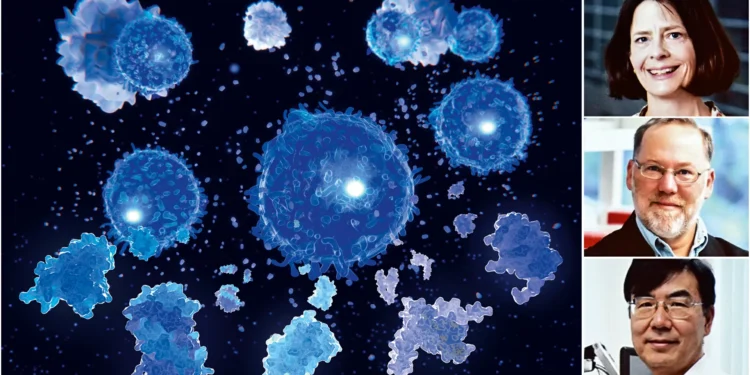 O fator que une os ganhadores do Prêmio Nobel em 2025