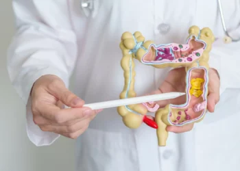 IA desvenda mistério de 25 anos sobre o intestino e a doença de Crohn