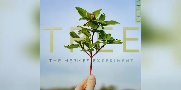 Álbum ‘Tree’ inova no uso de instrumentos e resgata clássicos da música