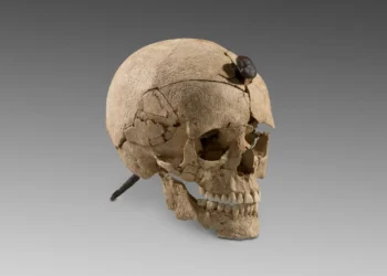 Crânios: arqueólogos decifram ritual de dois mil anos na Espanha