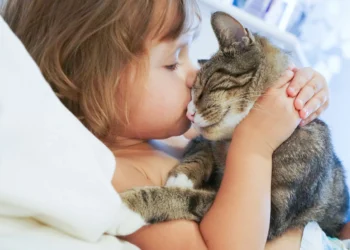 Como o convívio com gatos altera o cérebro humano e o deles também