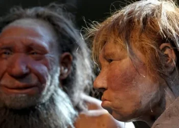 Neandertais e humanos primitivos provavelmente se beijavam, diz estudo