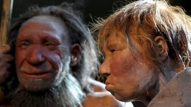 Neandertais e humanos primitivos provavelmente se beijavam, diz estudo