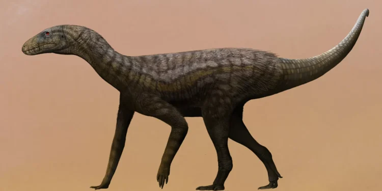 Médico brasileiro celebra paixão pela paleontologia que levou a descoberta inédita