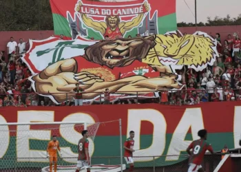 Leões da Fabulosa repudiam escândalo eleitoral após impugnação de chapa