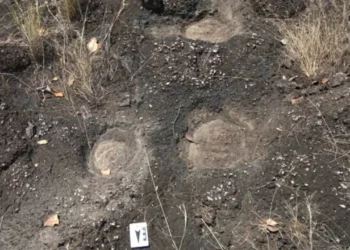 Marcas em rochas de Roraima podem ser pegadas de dinossauros