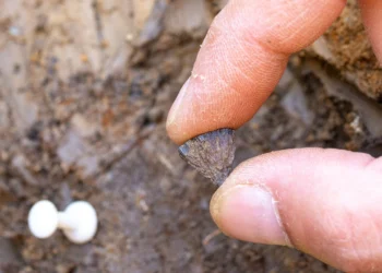 Evidência mais antiga de fogo feito por humanos é encontrada na Inglaterra