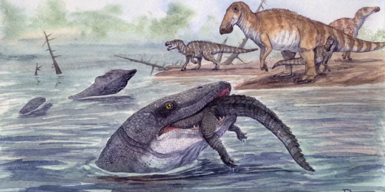 Dente fossilizado muda o que se sabia sobre predador marinho pré-histórico