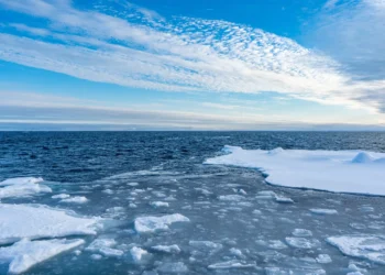 Conheça a “vida estranha” que mora nas profundezas do Ártico