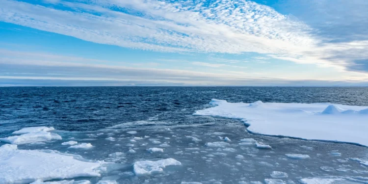 Conheça a “vida estranha” que mora nas profundezas do Ártico