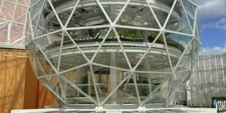 Ecossistema urbano em Osaka mostra agricultura sustentável