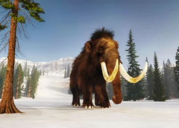 Pesquisa recupera momentos finais de animal que viveu há quase 40.000 anos