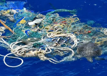 Conheça 8 ameaças que prejudicam os oceanos