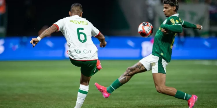 Onde assistir ao vivo Portuguesa x Palmeiras pelo Paulistão 2026