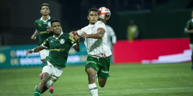 Confira o retrospecto do confronto entre Portuguesa e Palmeiras