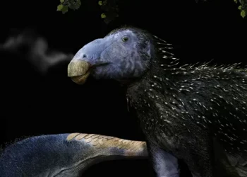 Nova espécie de dinossauro com espinhos ocos é descoberta na China