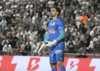 Apresentador crava acerto de Bruno Bertinato com o Grupo City