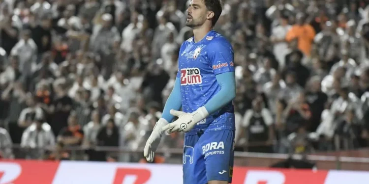 Apresentador crava acerto de Bruno Bertinato com o Grupo City